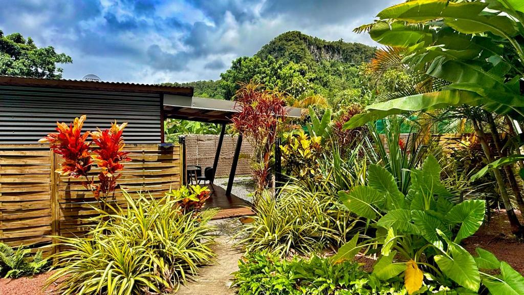 Bunga Lodge Vanille