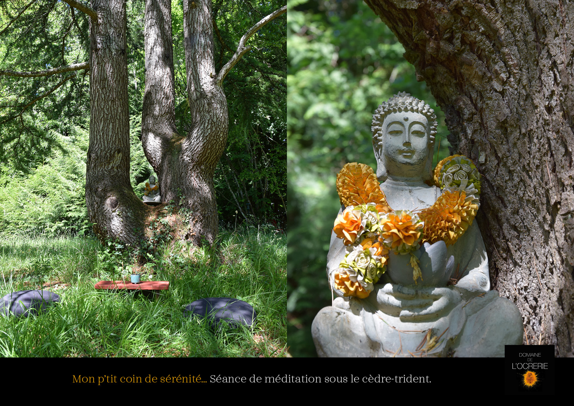 L'Ocrerie - photo 15